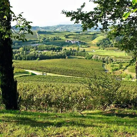 Villa Chiopris 4*