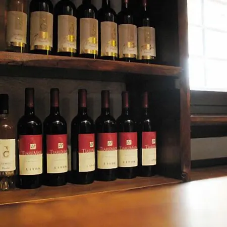 Hotel Villa Chiopris 4*