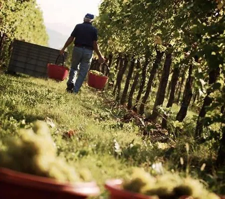 Villa Chiopris Hotel Chiópris-Viscone