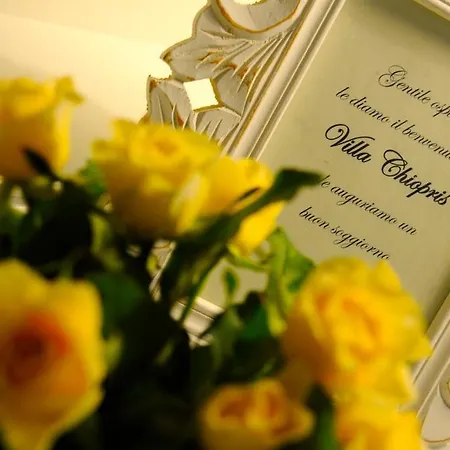 Hotel Villa Chiopris 4*