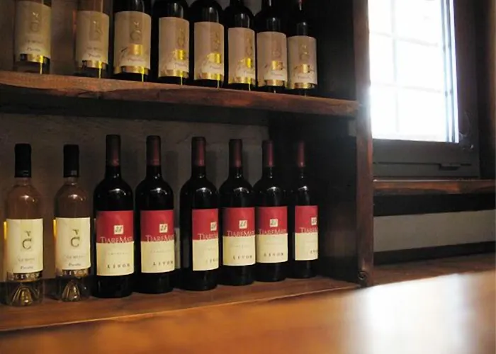 Отель Villa Chiopris 4*