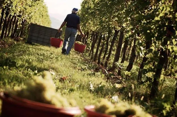 Villa Chiopris ホテル Chiópris-Viscone